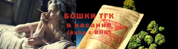 дмт Осинники
