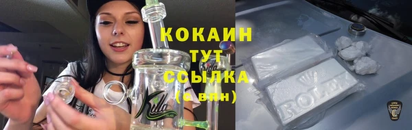 экстази Няндома