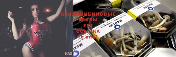 дмт Осинники