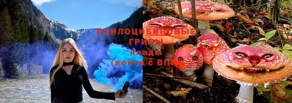 Альфа ПВП Всеволожск