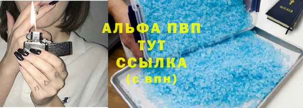 шишки Осташков