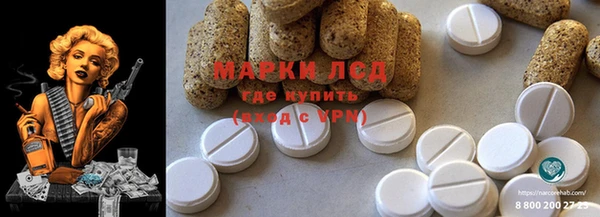 шишки Осташков