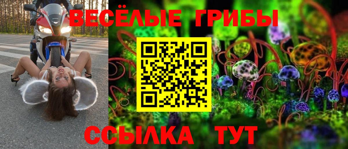 Псилоцибиновые грибы ЛСД  Псилоцибиновые грибы мухоморы  Вход с VPN  Борзя 